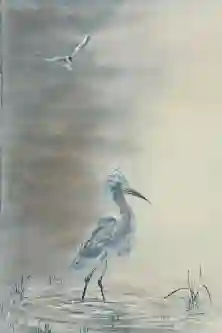 Stroll In Still Waters