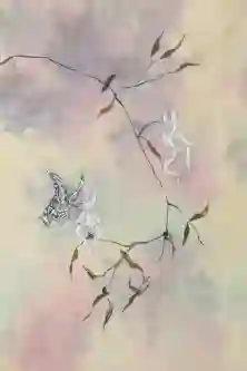 Butterfly In Soft Light