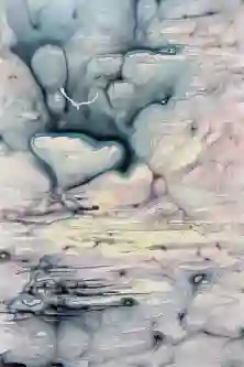 Calm Before the Storm