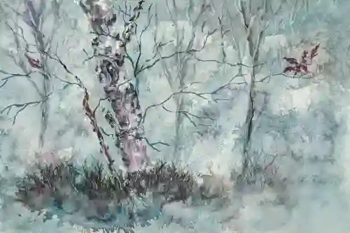 Birch In The Mist