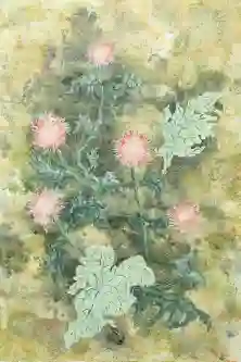 Pink Star
