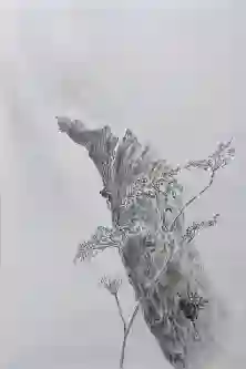 Growth From Ancient Roots