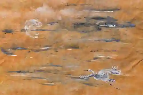 Wings Against Sunset