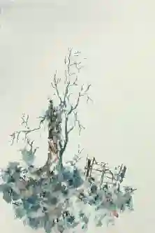 Old Branches, Forgotten Gate