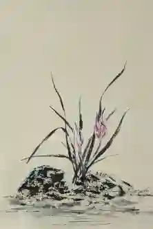 Bloom On A Textured Base