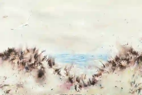 Bird Over Soft Dunes